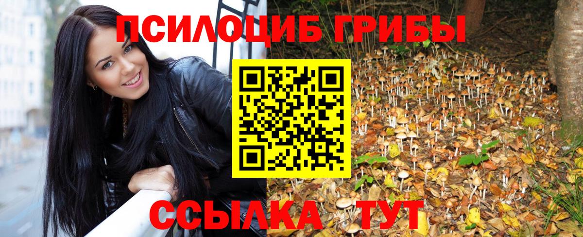 Галлюциногенные грибы прущие грибы  где найти   Мыски  Вход с VPN 