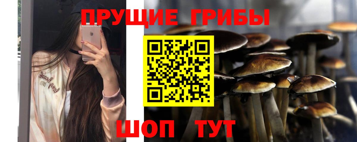 Псилоцибиновые грибы прущие грибы Мыски